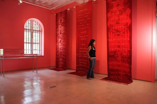 Reena Kallat, Walls of the Womb, 2007